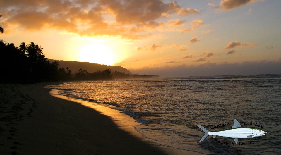 Flyfishing Hawaii