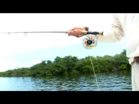 Fly casting tips for Bonefish